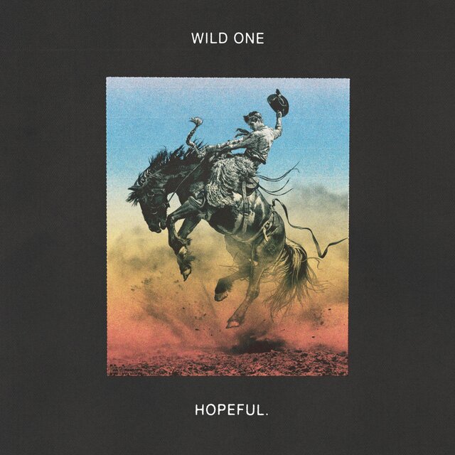 WILD ONE