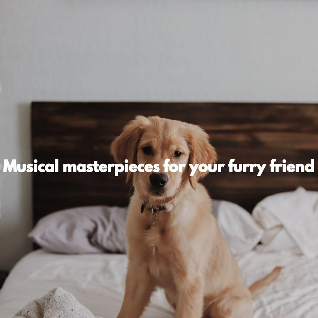Musical masterpieces for your furry friend