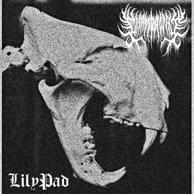 CHAMPAWAT X LILYPAD SPLIT
