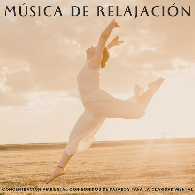 Música De Relajación: Concentración Ambiental Con Sonidos De Pájaros Para La Claridad Mental