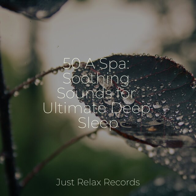 50 A Spa: Soothing Sounds for Ultimate Deep Sleep