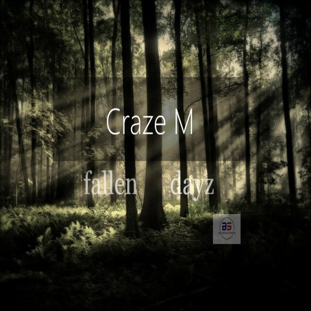 Fallen Dayz