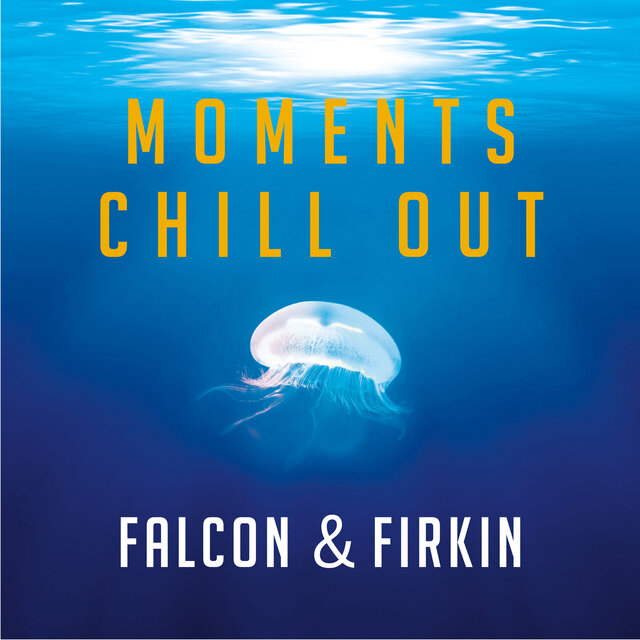Moments chill out
