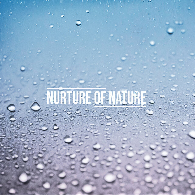 Winterish (Rain)