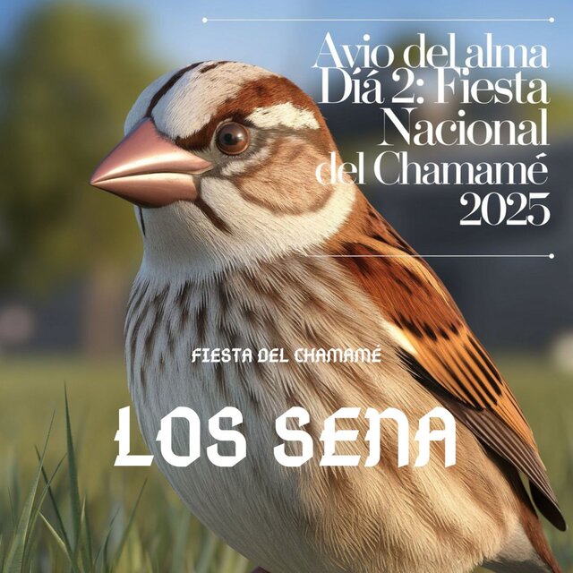 Los Sena en Avio del Alma, Dia 2: Fiesta Nacional del Chamamé 2025 (En Vivo)