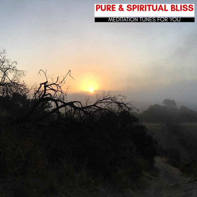 Pure & Spiritual Bliss - Meditation Tunes For You
