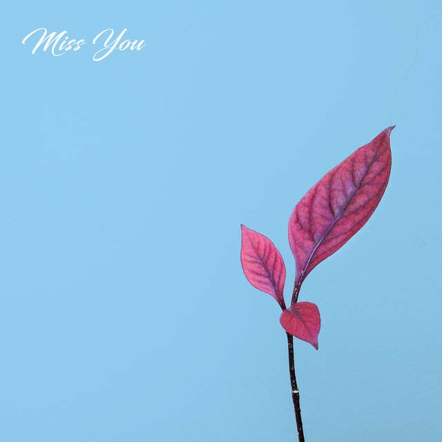Miss You (Remix)