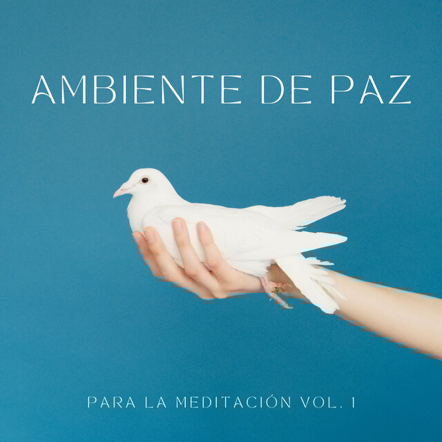 Ambiente De Paz Para La Meditación Vol. 1