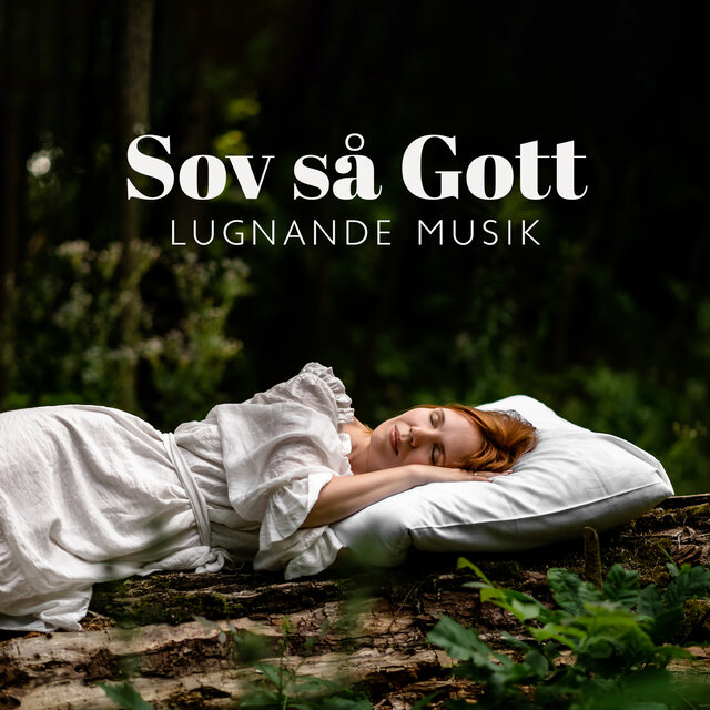 Sov så Gott (Lugnande Musik för Stress och Sömnproblem)