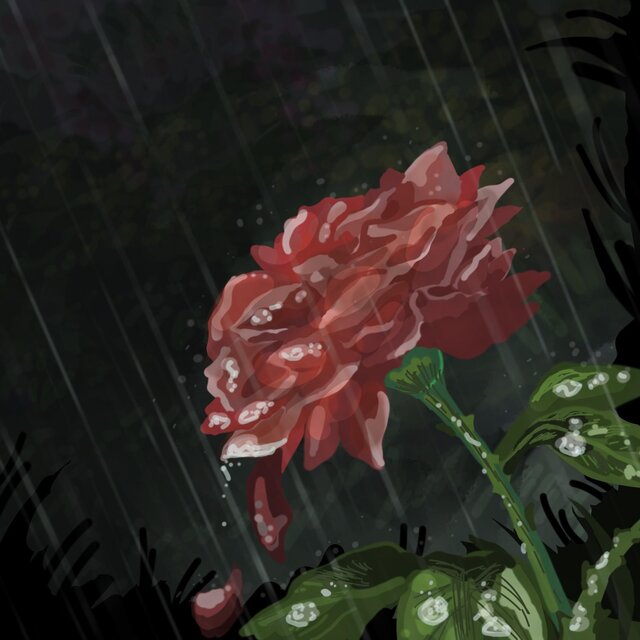 Roses