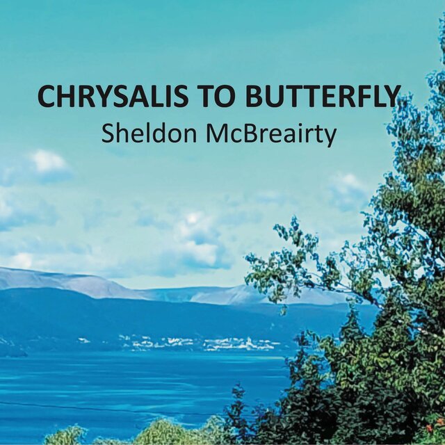 Chrysalis To Butterfly
