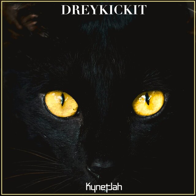 Black Cat