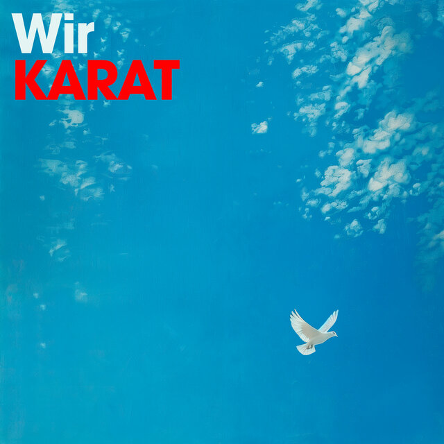 Wir