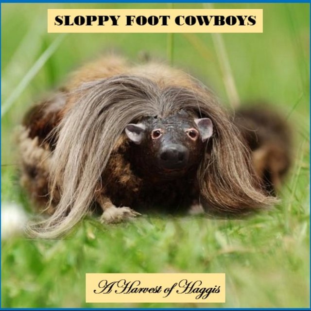 A Harvest of Haggis