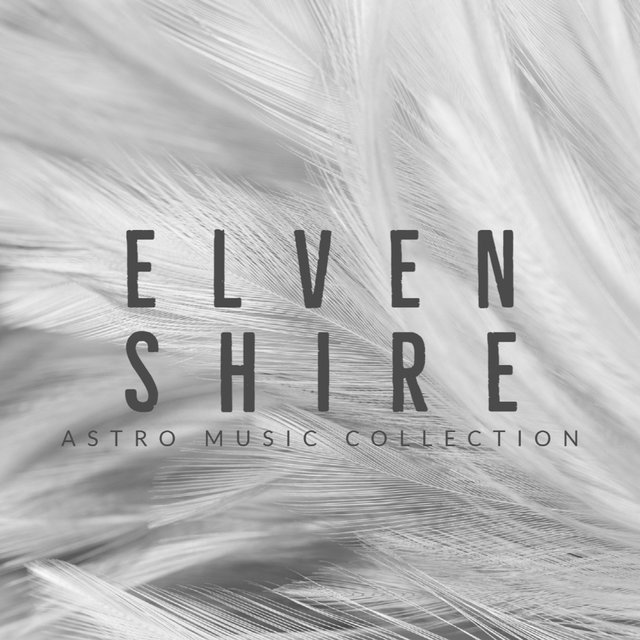 ELVEN SHIRE