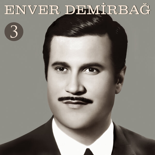 Enver Demirbağ 3