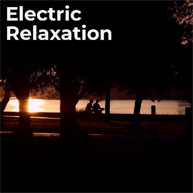 Electric Relaxation