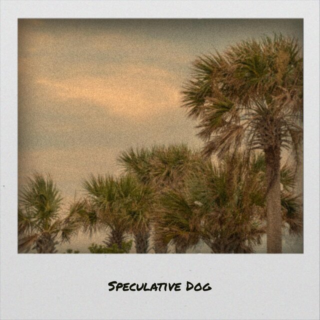 Speculative Dog
