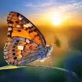 The Breath Of New Beginnings