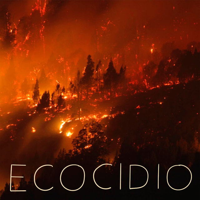 ECOCIDIO