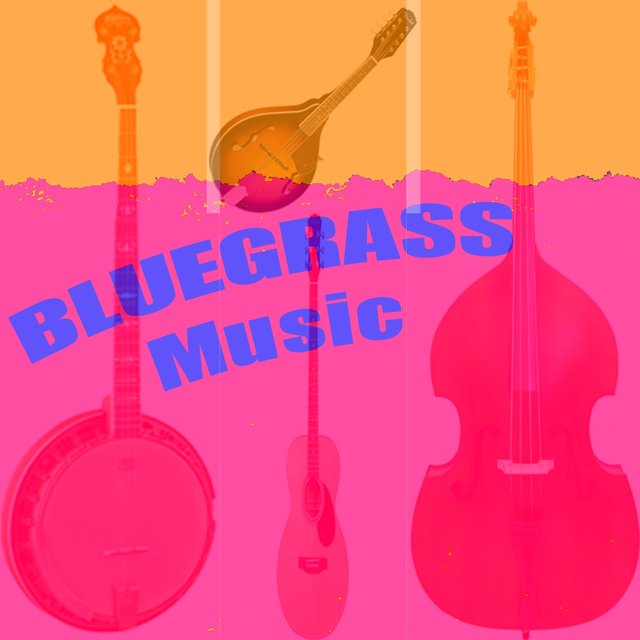 Bluegrass Music