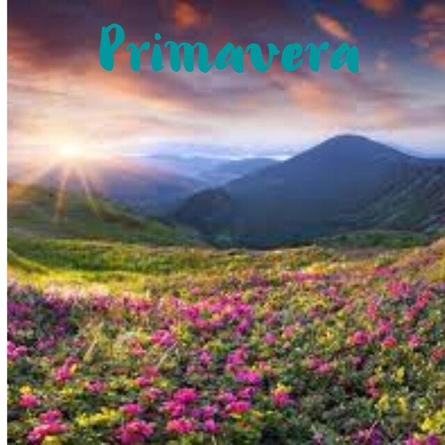 PRIMAVERA