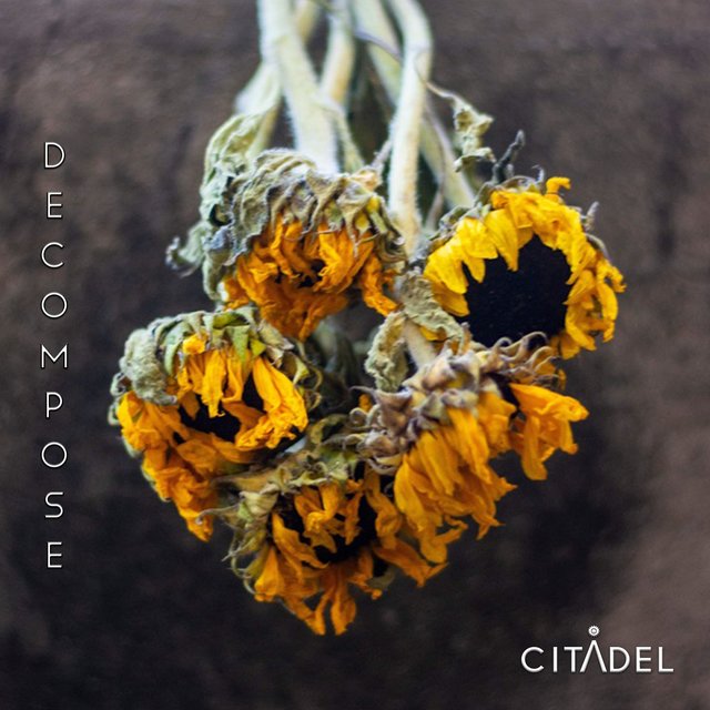 DECOMPOSE