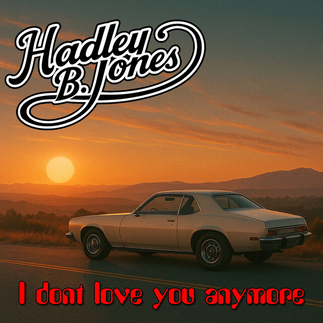 I Dont Love You Anymore