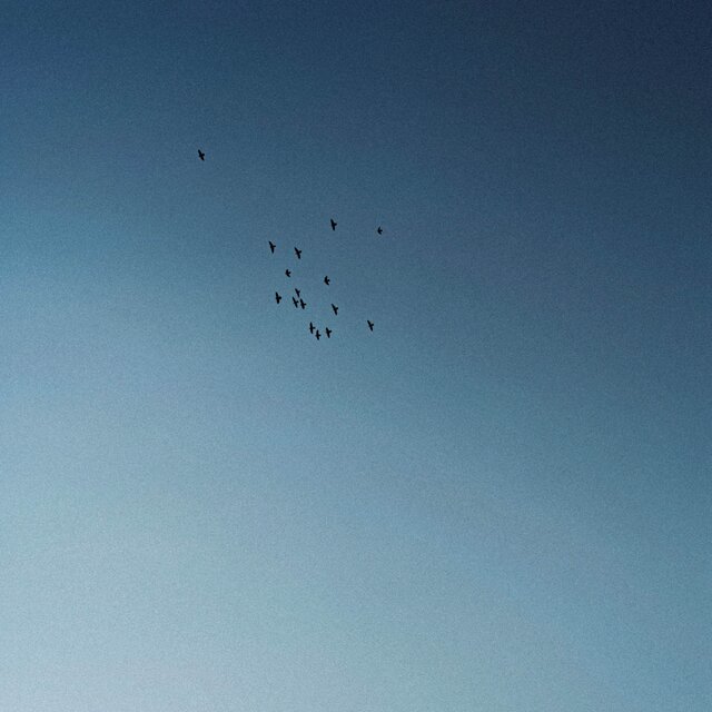 Let Go