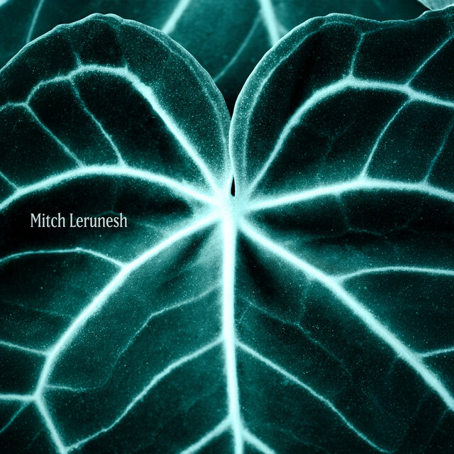 Nerve Garden Rituals, Polyvagal