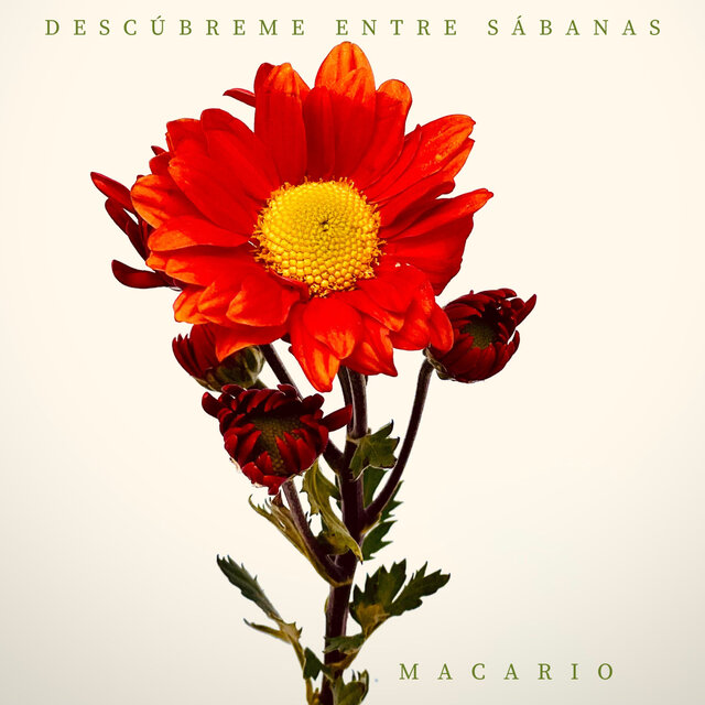 Descúbreme Entre Sábanas