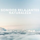 Ruido Blanco Naturaleza