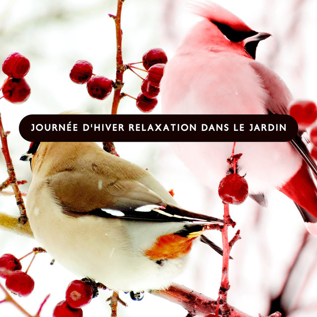 Journée d'hiver relaxation dans le jardin (Méditation, Soulagement, Sensation du soleil, Un moment pour soi)