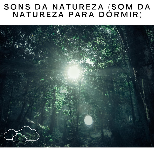 Sons Da Natureza (Som da Natureza Para Dormir)