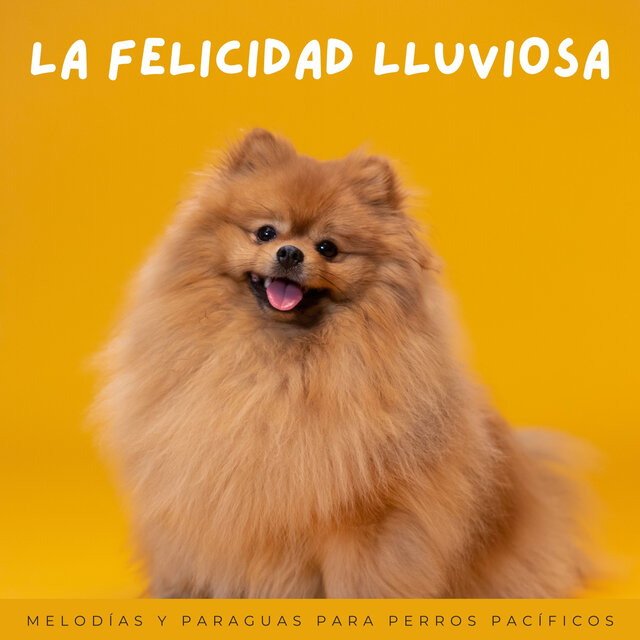 La Felicidad Lluviosa: Melodías Y Paraguas Para Perros Pacíficos
