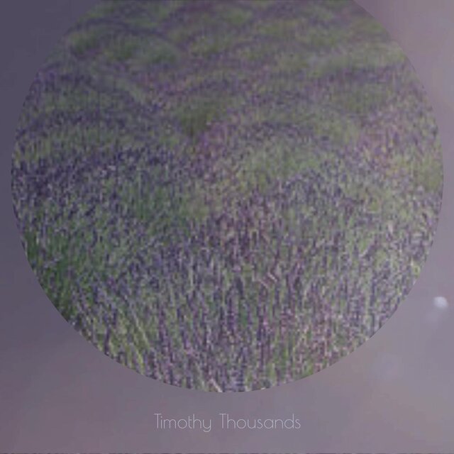 Timothy Thousands