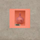Cover art for album Vivid by Momus