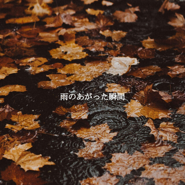 雨のあがった瞬間