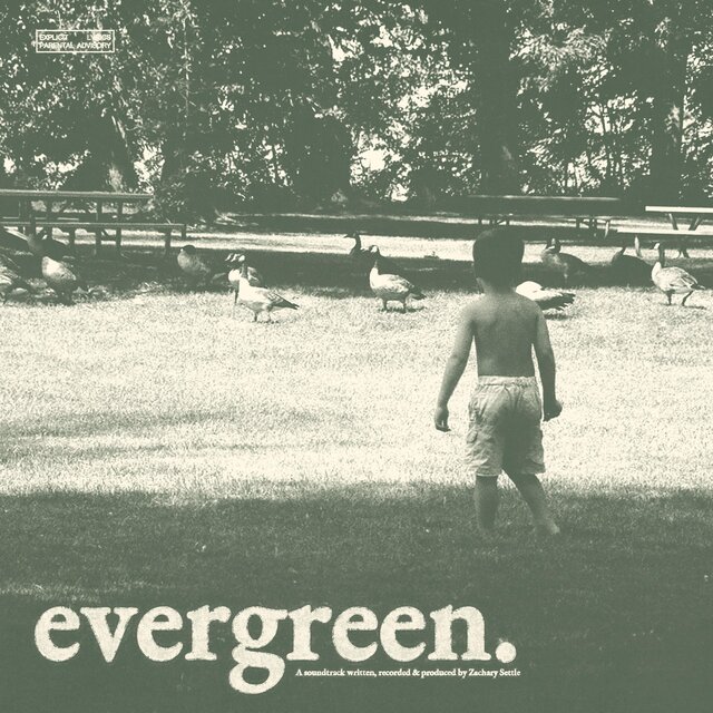 evergreen
