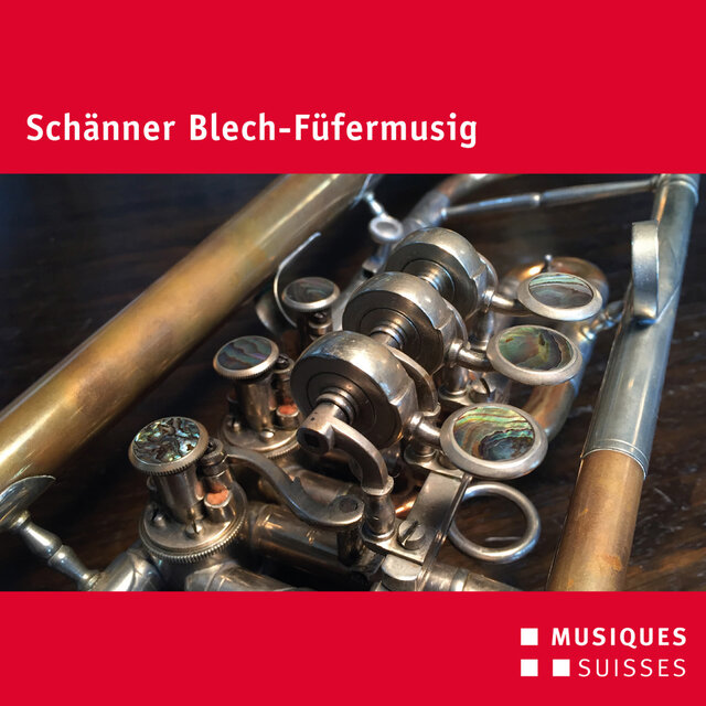 Schänner Blech-Füfermusig