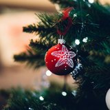 One Night Before Christmas
