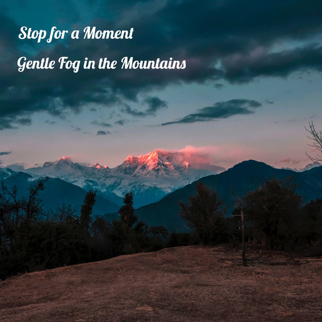 Gentle Fog in the Mountains