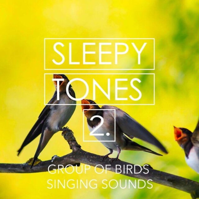 Sleepy Tones: Group of Birds Singing Sounds 2
