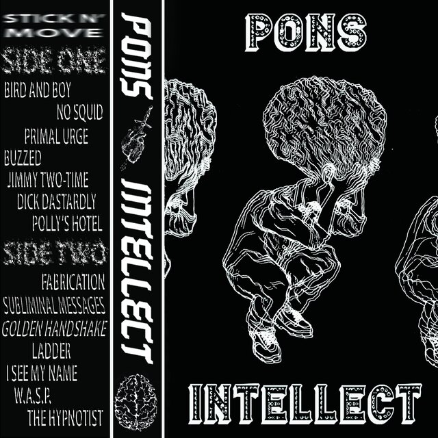 Intellect