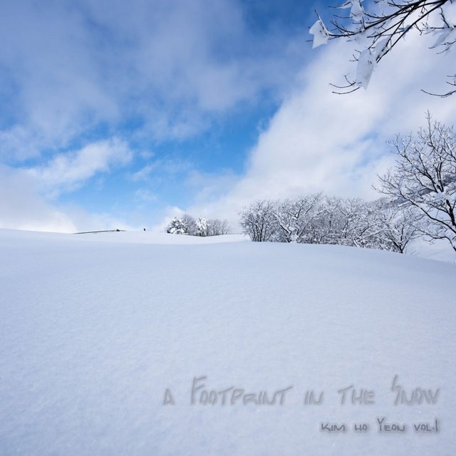 a Footprint in the Snow