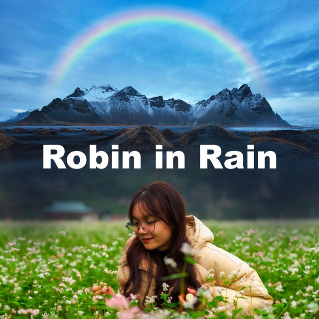 Robin in Rain
