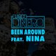 Cover art for album Been Around (feat. Nina) by DJ Rob Dinero
