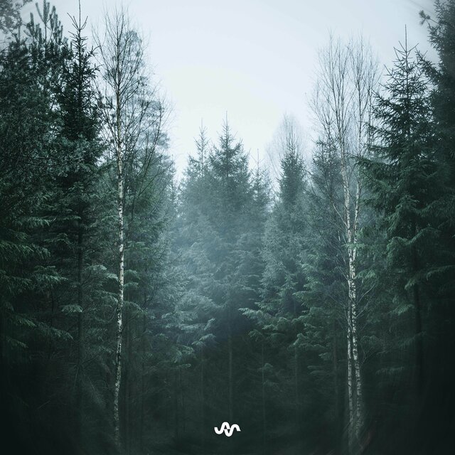 Within the Stillness