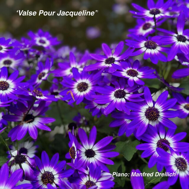 Valse Pour Jacqueline