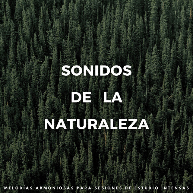 Sonidos De La Naturaleza : Melodías Armoniosas Para Sesiones De Estudio Intensas